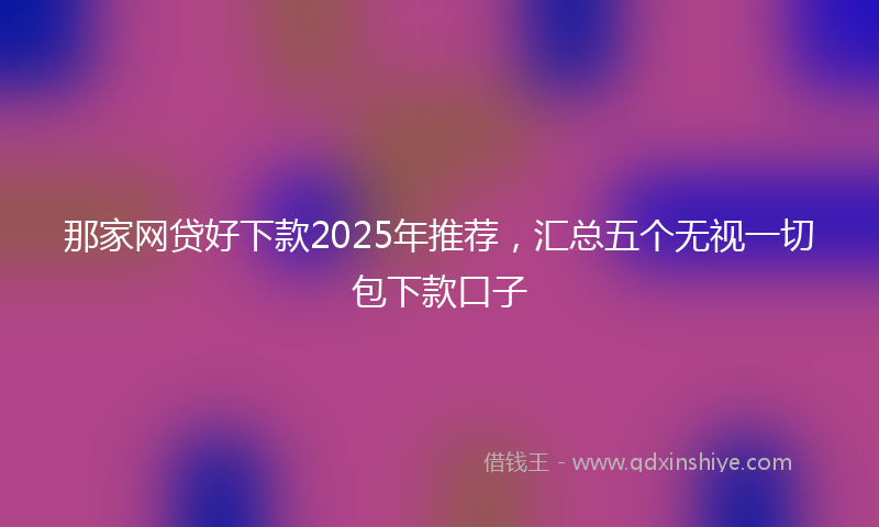那家网贷好下款2025年推荐，汇总五个无视一切包下款口子