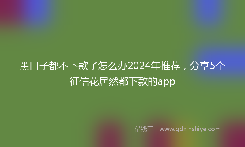 黑口子都不下款了怎么办2024年推荐，分享5个征信花居然都下款的app