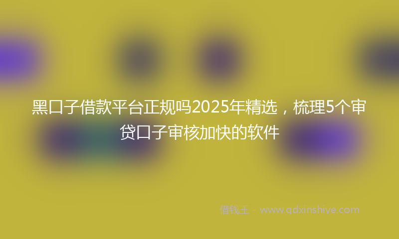 黑口子借款平台正规吗2025年精选，梳理5个审贷口子审核加快的软件