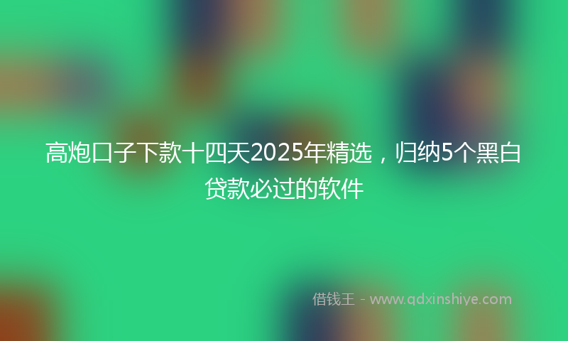 高炮口子下款十四天2025年精选，归纳5个黑白贷款必过的软件