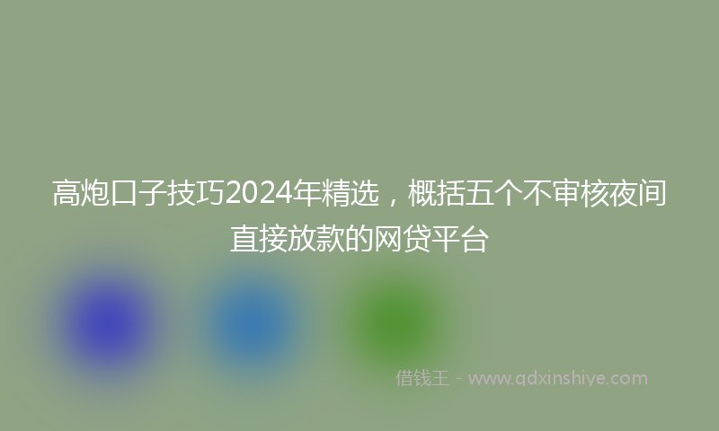 高炮口子技巧2024年精选，概括五个不审核夜间直接放款的网贷平台