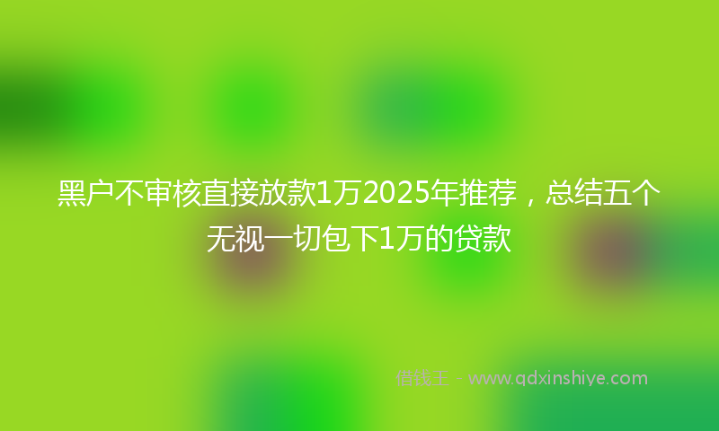 黑户不审核直接放款1万2025年推荐，总结五个无视一切包下1万的贷款