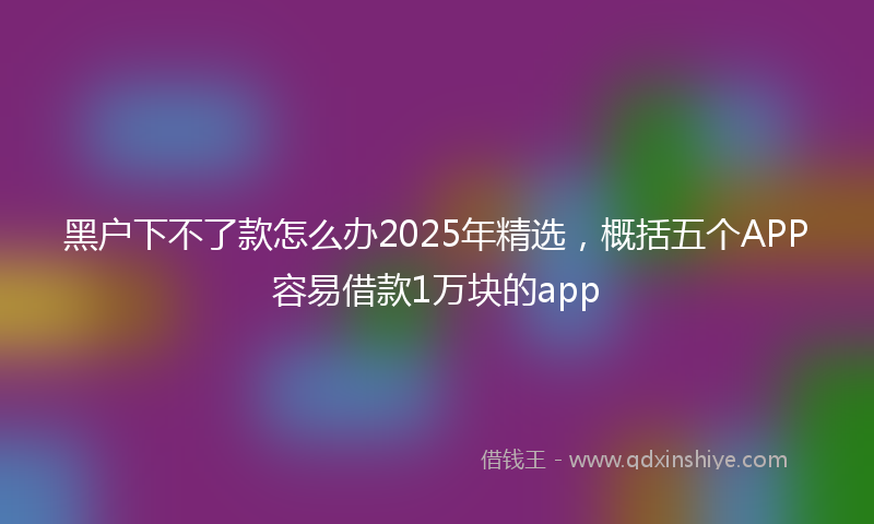 黑户下不了款怎么办2025年精选，概括五个APP容易借款1万块的app