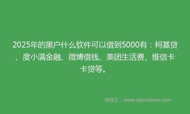 2025年的黑户什么软件可以借到5000有：柯基贷、度小满金融、微博借钱、美团生活费、维信卡卡贷等。