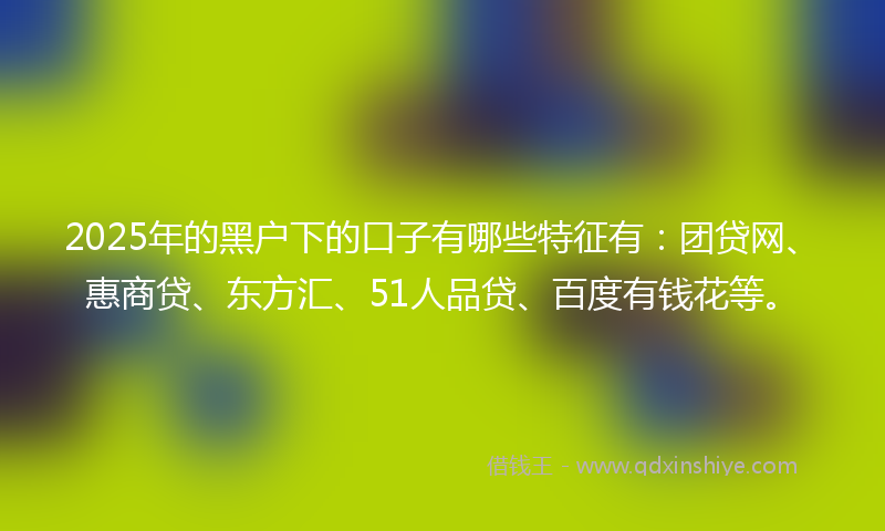 2025年的黑户下的口子有哪些特征有：团贷网、惠商贷、东方汇、51人品贷、百度有钱花等。