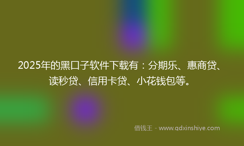 2025年的黑口子软件下载有：分期乐、惠商贷、读秒贷、信用卡贷、小花钱包等。