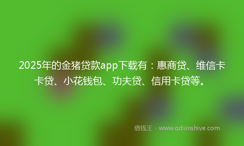 2025年的金猪贷款app下载有：惠商贷、维信卡卡贷、小花钱包、功夫贷、信用卡贷等。