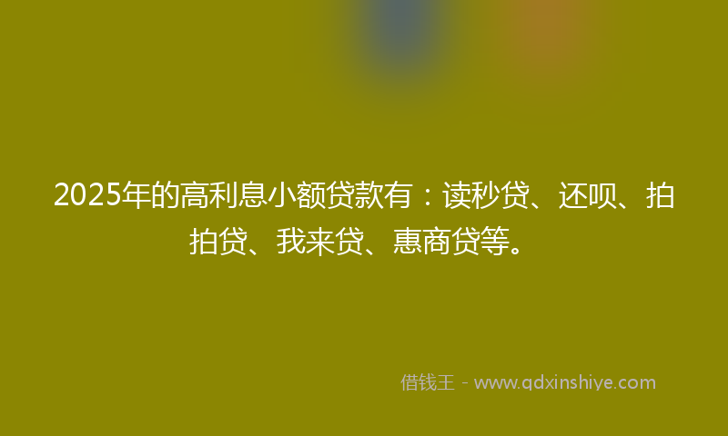 2025年的高利息小额贷款有：读秒贷、还呗、拍拍贷、我来贷、惠商贷等。