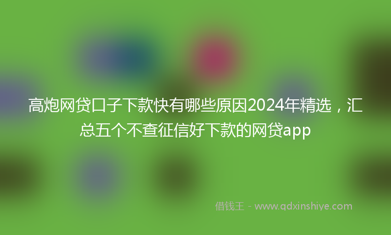 高炮网贷口子下款快有哪些原因2024年精选，汇总五个不查征信好下款的网贷app