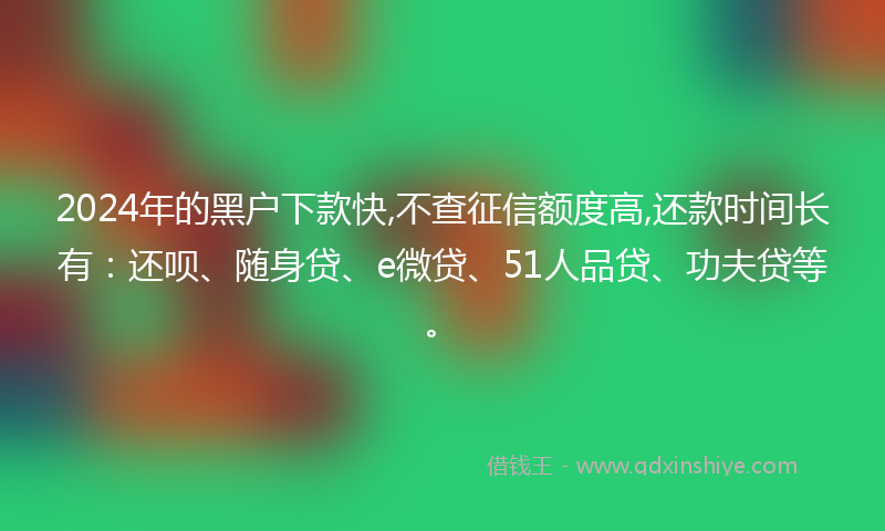 2024年的黑户下款快,不查征信额度高,还款时间长有：还呗、随身贷、e微贷、51人品贷、功夫贷等。