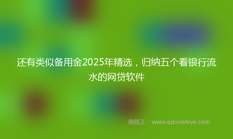 还有类似备用金2025年精选，归纳五个看银行流水的网贷软件