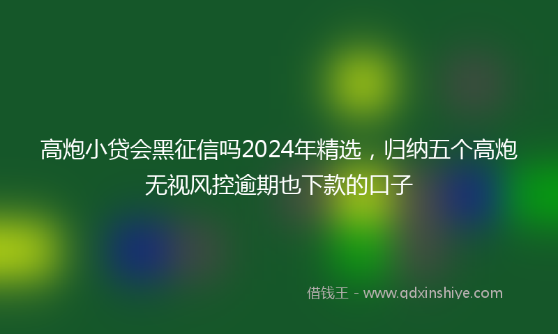 高炮小贷会黑征信吗2024年精选，归纳五个高炮无视风控逾期也下款的口子