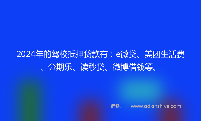 2024年的驾校抵押贷款有：e微贷、美团生活费、分期乐、读秒贷、微博借钱等。