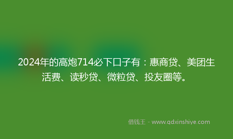 2024年的高炮714必下口子有：惠商贷、美团生活费、读秒贷、微粒贷、投友圈等。