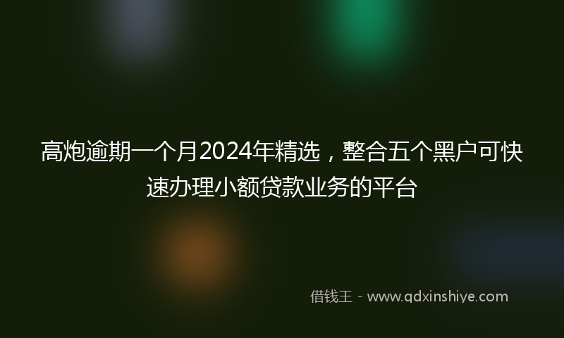 高炮逾期一个月2024年精选，整合五个黑户可快速办理小额贷款业务的平台