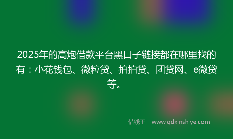 2025年的高炮借款平台黑口子链接都在哪里找的有：小花钱包、微粒贷、拍拍贷、团贷网、e微贷等。