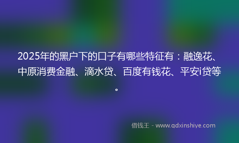 2025年的黑户下的口子有哪些特征有：融逸花、中原消费金融、滴水贷、百度有钱花、平安i贷等。