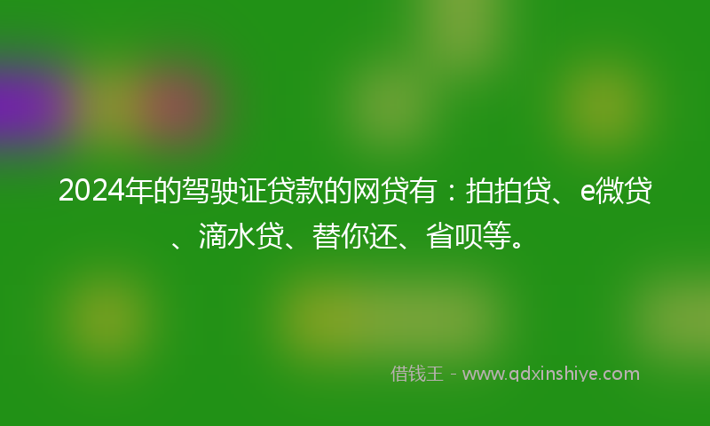 2024年的驾驶证贷款的网贷有：拍拍贷、e微贷、滴水贷、替你还、省呗等。