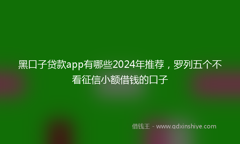 黑口子贷款app有哪些2024年推荐，罗列五个不看征信小额借钱的口子