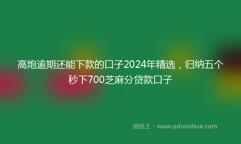 高炮逾期还能下款的口子2024年精选，归纳五个秒下700芝麻分贷款口子