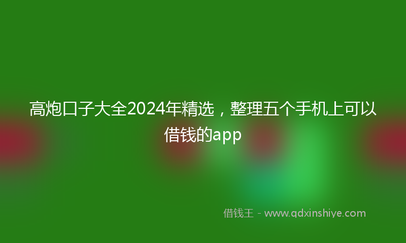高炮口子大全2024年精选，整理五个手机上可以借钱的app
