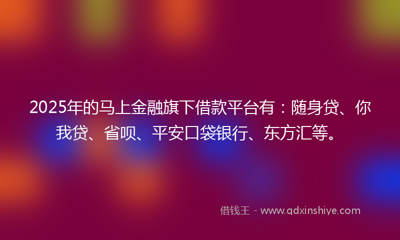 2025年的马上金融旗下借款平台有：随身贷、你我贷、省呗、平安口袋银行、东方汇等。