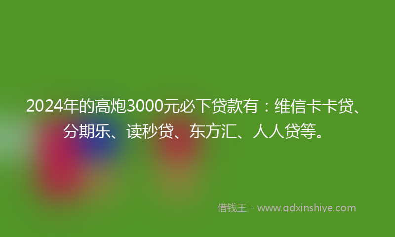 2024年的高炮3000元必下贷款有：维信卡卡贷、分期乐、读秒贷、东方汇、人人贷等。