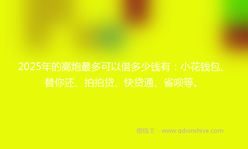 2025年的高炮最多可以借多少钱有：小花钱包、替你还、拍拍贷、快贷通、省呗等。