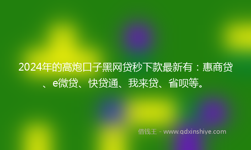 2024年的高炮口子黑网贷秒下款最新有：惠商贷、e微贷、快贷通、我来贷、省呗等。