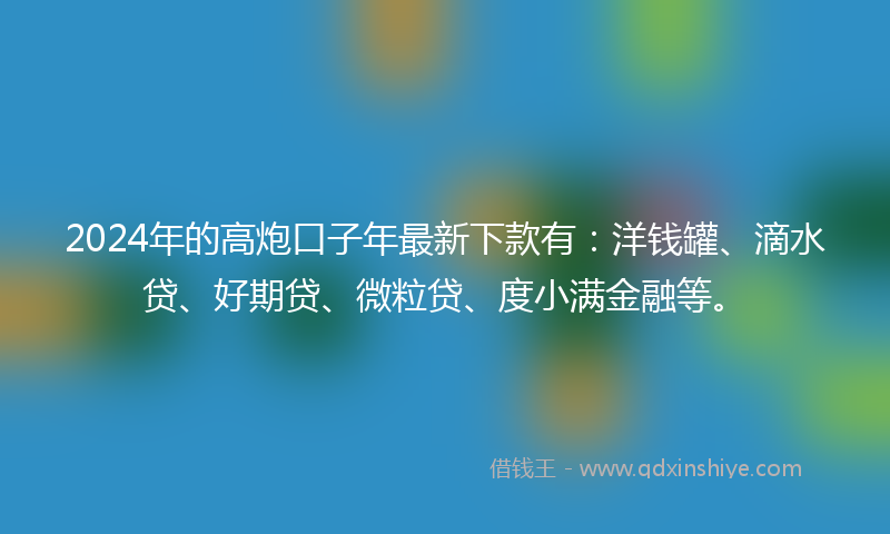 2024年的高炮口子年最新下款有：洋钱罐、滴水贷、好期贷、微粒贷、度小满金融等。