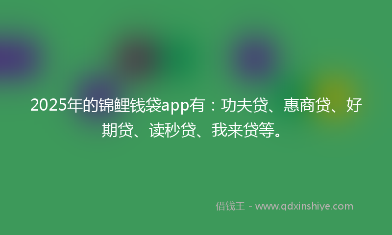 2025年的锦鲤钱袋app有：功夫贷、惠商贷、好期贷、读秒贷、我来贷等。