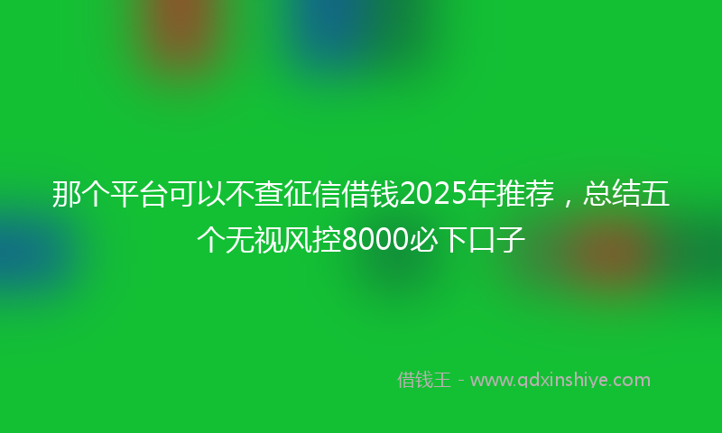那个平台可以不查征信借钱2025年推荐，总结五个无视风控8000必下口子