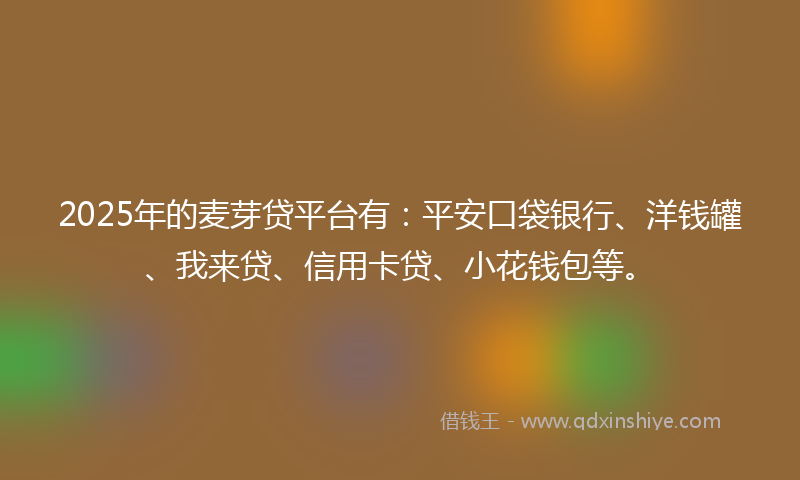 2025年的麦芽贷平台有：平安口袋银行、洋钱罐、我来贷、信用卡贷、小花钱包等。