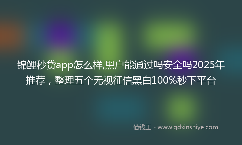 锦鲤秒贷app怎么样,黑户能通过吗安全吗2025年推荐，整理五个无视征信黑白100%秒下平台