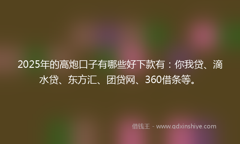 2025年的高炮口子有哪些好下款有：你我贷、滴水贷、东方汇、团贷网、360借条等。