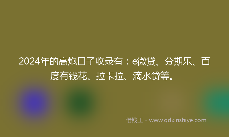 2024年的高炮口子收录有：e微贷、分期乐、百度有钱花、拉卡拉、滴水贷等。