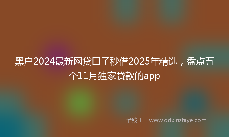 黑户2024最新网贷口子秒借2025年精选，盘点五个11月独家贷款的app