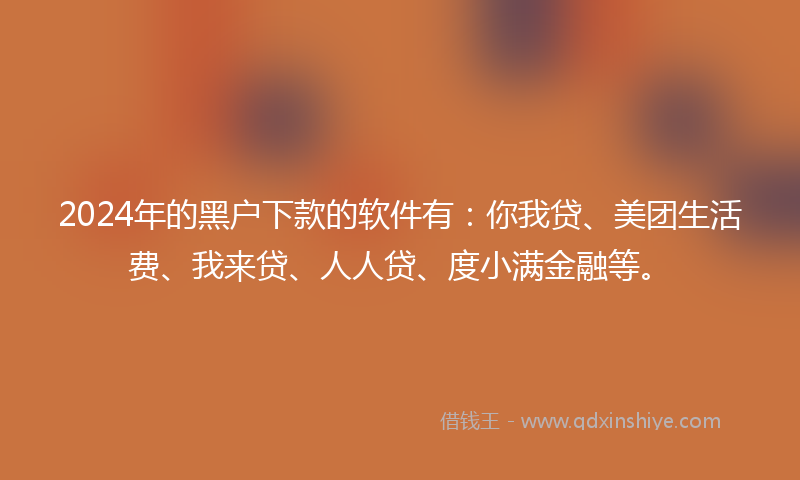 2024年的黑户下款的软件有：你我贷、美团生活费、我来贷、人人贷、度小满金融等。