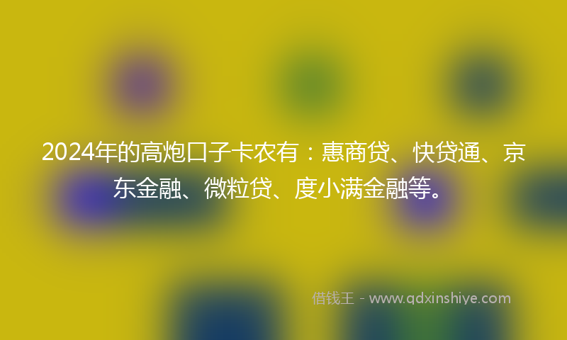 2024年的高炮口子卡农有：惠商贷、快贷通、京东金融、微粒贷、度小满金融等。