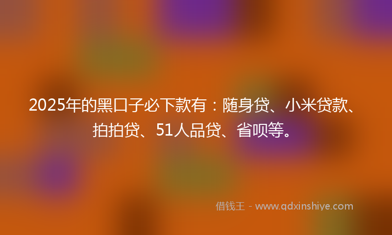 2025年的黑口子必下款有：随身贷、小米贷款、拍拍贷、51人品贷、省呗等。