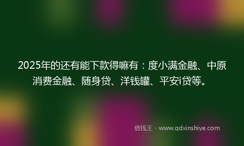 2025年的还有能下款得嘛有：度小满金融、中原消费金融、随身贷、洋钱罐、平安i贷等。