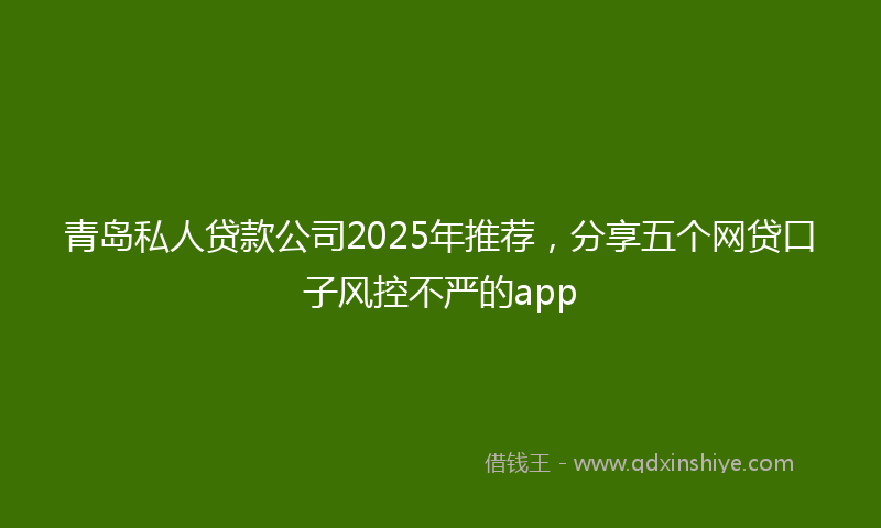 青岛私人贷款公司2025年推荐，分享五个网贷口子风控不严的app