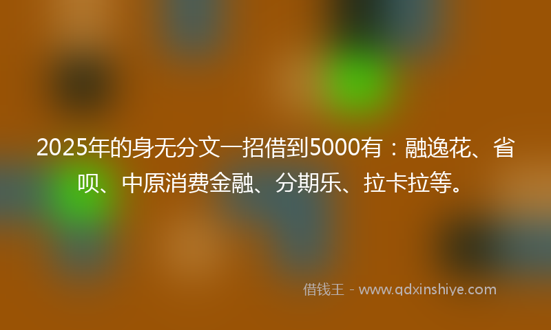 2025年的身无分文一招借到5000有：融逸花、省呗、中原消费金融、分期乐、拉卡拉等。