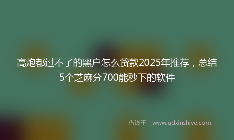 高炮都过不了的黑户怎么贷款2025年推荐，总结5个芝麻分700能秒下的软件