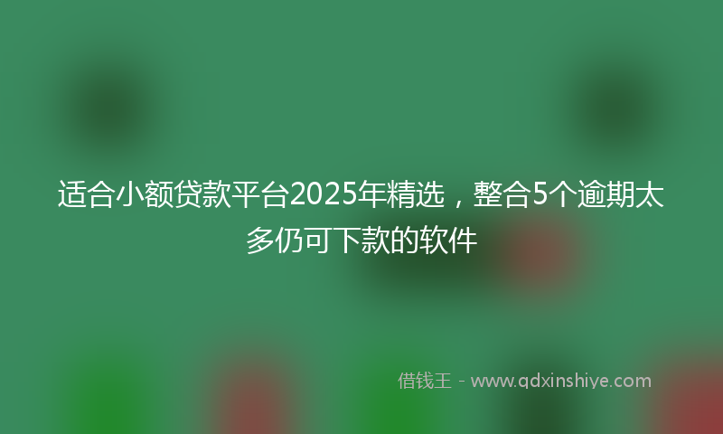 适合小额贷款平台2025年精选，整合5个逾期太多仍可下款的软件