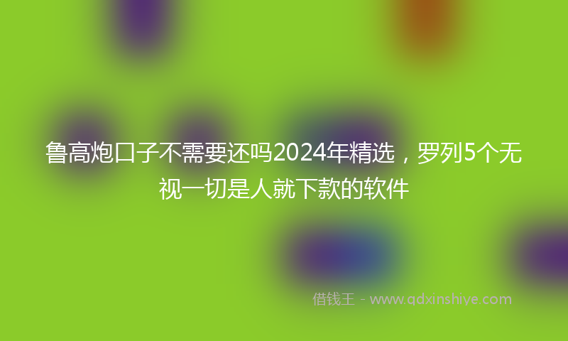 鲁高炮口子不需要还吗2024年精选，罗列5个无视一切是人就下款的软件