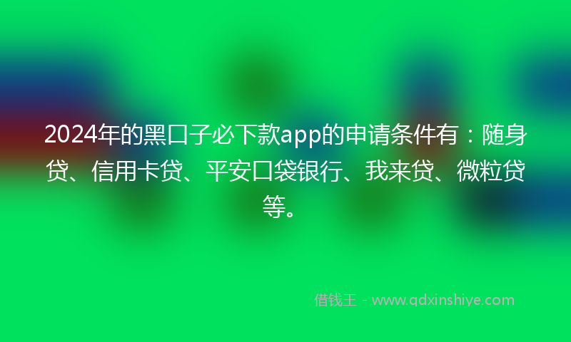 2024年的黑口子必下款app的申请条件有：随身贷、信用卡贷、平安口袋银行、我来贷、微粒贷等。