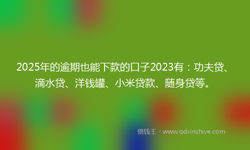 2025年的逾期也能下款的口子2023有：功夫贷、滴水贷、洋钱罐、小米贷款、随身贷等。