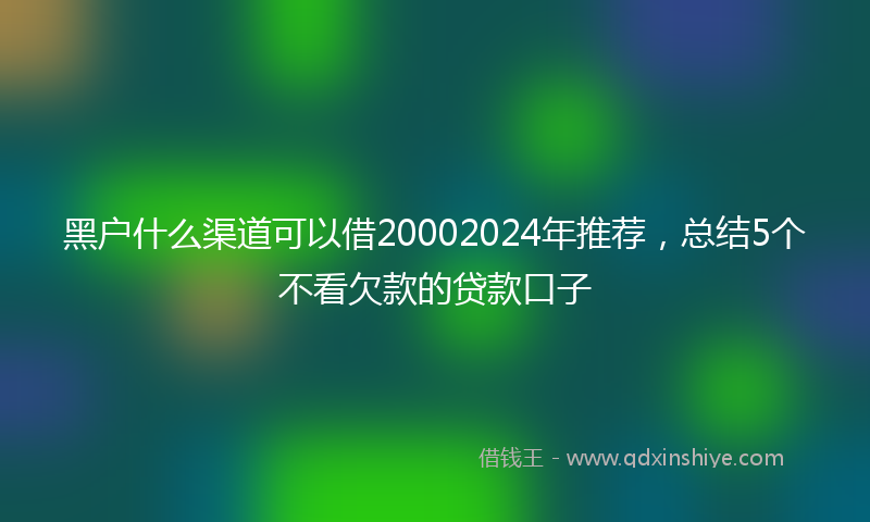 黑户什么渠道可以借20002024年推荐，总结5个不看欠款的贷款口子