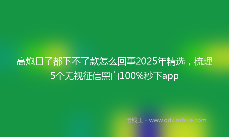 高炮口子都下不了款怎么回事2025年精选，梳理5个无视征信黑白100%秒下app